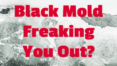 Black mold freaking you out