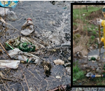 Sewage Cleanup